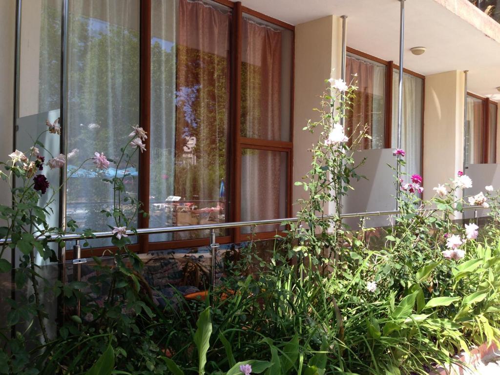 Jupiter Hotel Σάνι Μπιτς Εξωτερικό φωτογραφία
