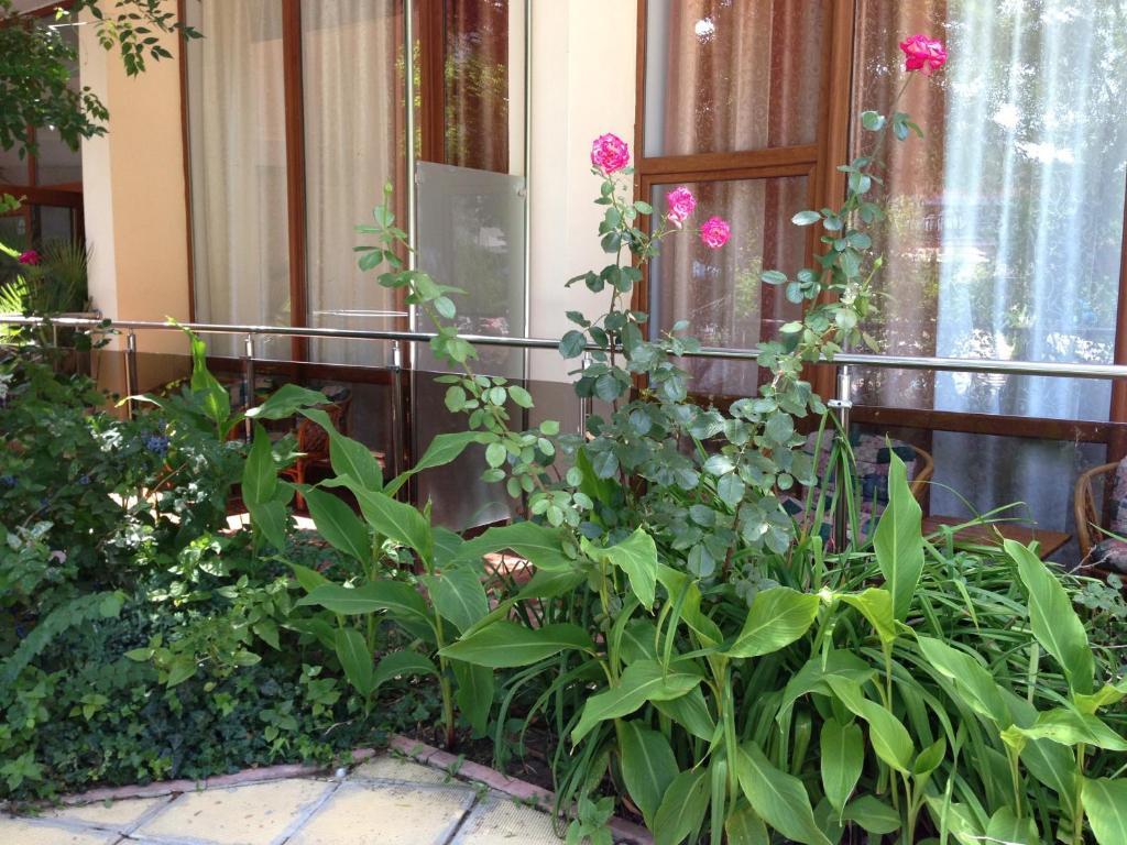 Jupiter Hotel Σάνι Μπιτς Δωμάτιο φωτογραφία