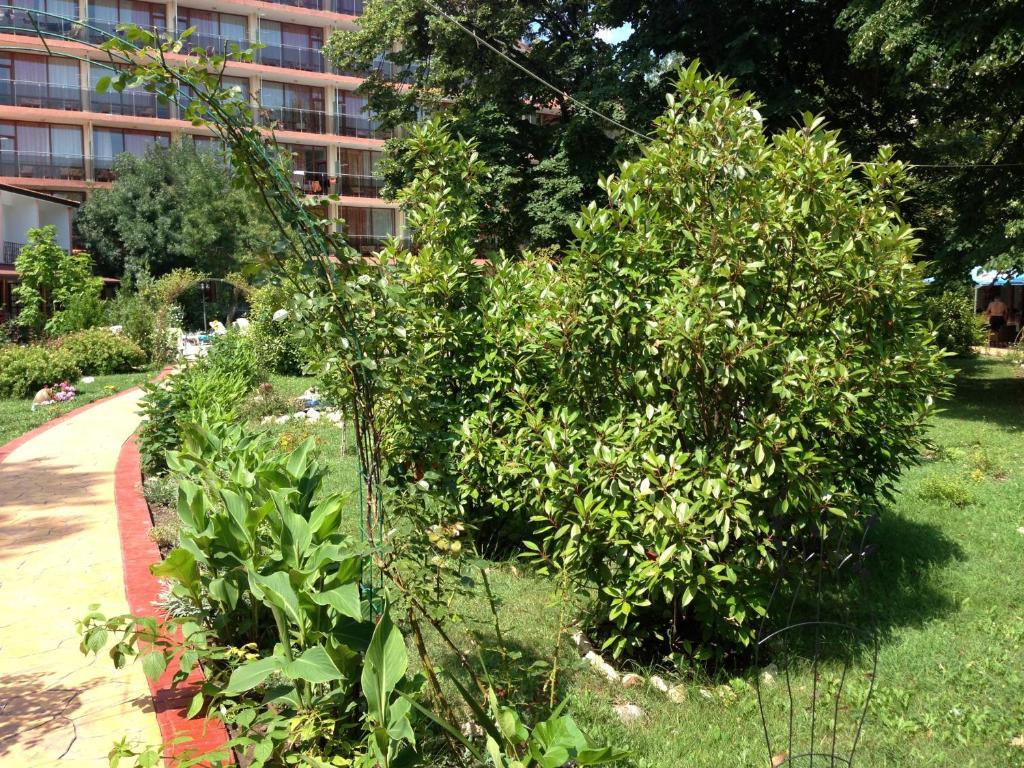 Jupiter Hotel Σάνι Μπιτς Εξωτερικό φωτογραφία